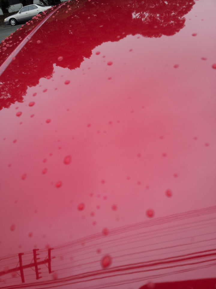 Griots Garage G9 Random Orbital Polisher